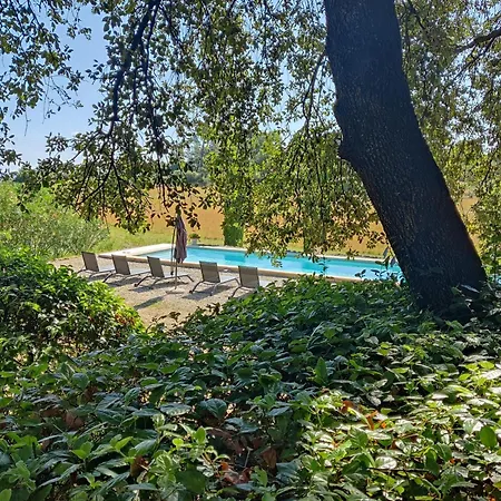 L'olive, Agreable Au Mas Des Roses Bed & Breakfast